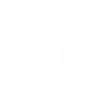 halı yıkama firması tavsiye